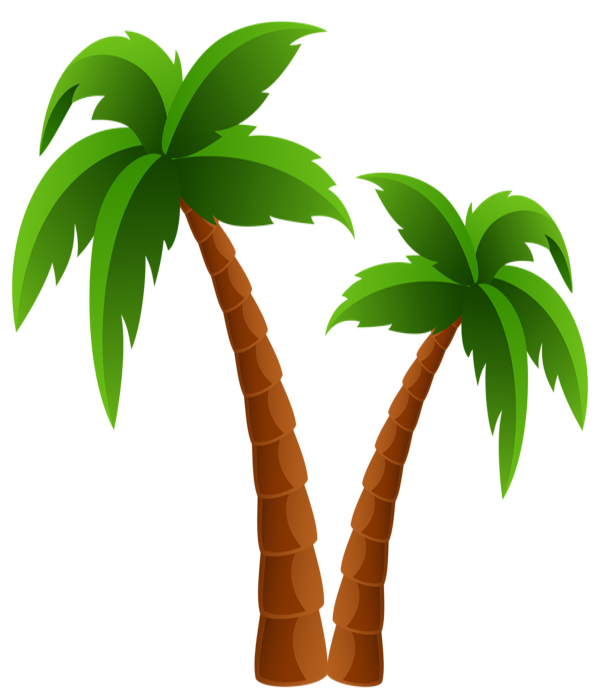 palm tree clipart ile ilgili görsel sonucu